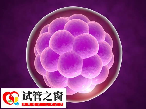 如何提高養囊成功率(圖2) 養囊成功率并非百分百