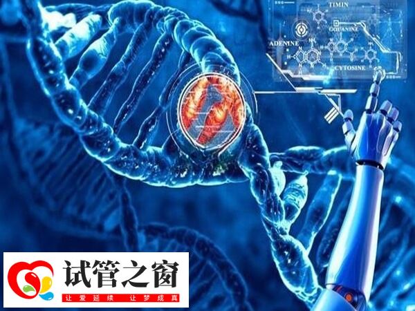 三代試管囊胚基因檢測需要幾天(圖1) 基因檢測可以減少染色體異常到的妊娠失敗