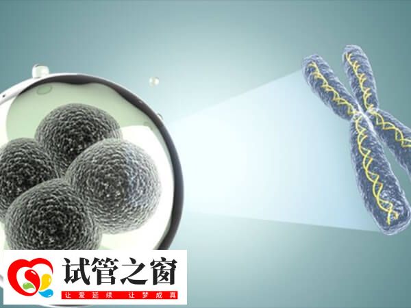 囊胚移植第六天老想小便正不正常(圖1) 囊胚著床成功也會引起尿頻