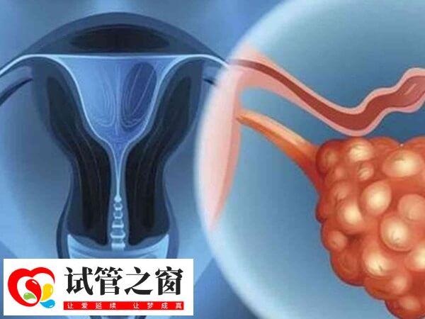 囊胚移植第六天老想小便正不正常(圖2) 囊胚移植后尿頻可能是感染