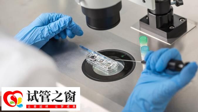 試管移植成功后大概3個月后穩定