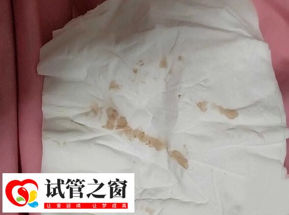 囊胚移植后出血要及時就醫