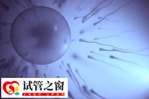 4bc囊胚解凍后通常仍然是4bc囊胚