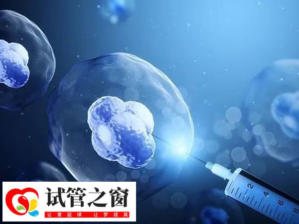 囊胚解凍后可能升級