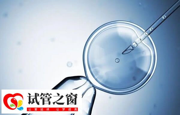 鮮胚指的是在體外3-5天內(nèi)發(fā)育出來的胚胎