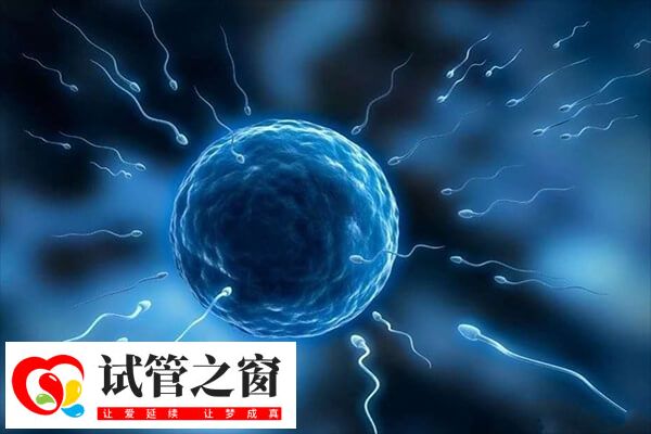 打降調后多久能宮腔灌注(圖2) 宮腔灌注是一種常見的輔助生殖技術