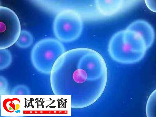 卵泡沒排能不能移植凍胚(圖1) 人工周期移植凍胚一般不需要等卵泡排掉