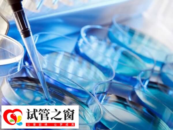 PGT檢測可篩查健康胚胎移植