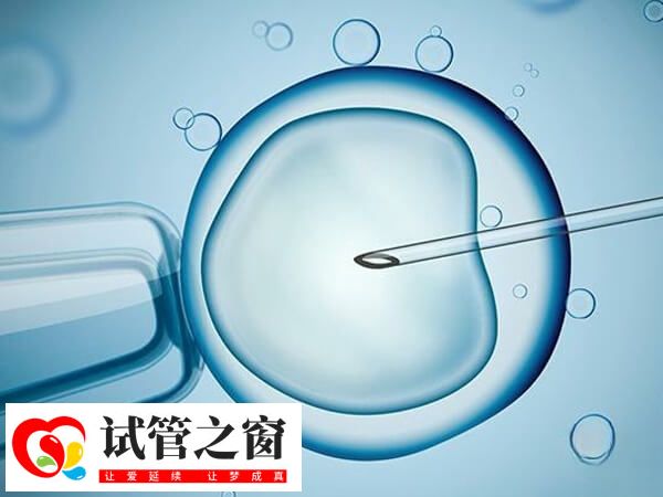 胚胎培養時間因人而異