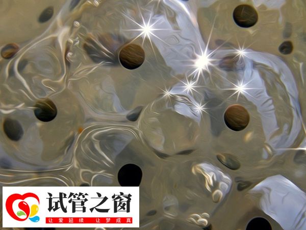 供卵在國內不受法律保護