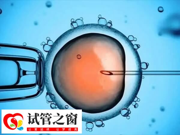 胚胎移植后發燒了可能會影響子代健康