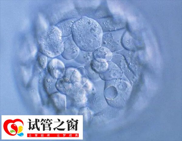 試管移植9天孕酮多少正常(圖2) 孕酮水平越高胚胎的落床率就越高