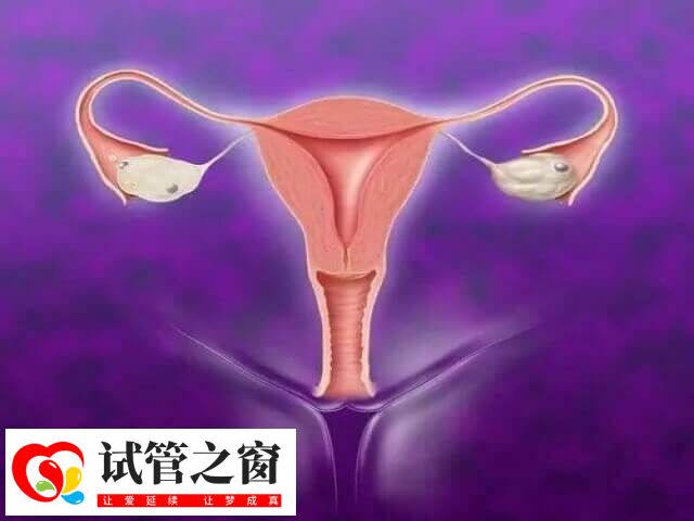 試管移植前調(diào)理子宮內(nèi)膜是非常關(guān)鍵