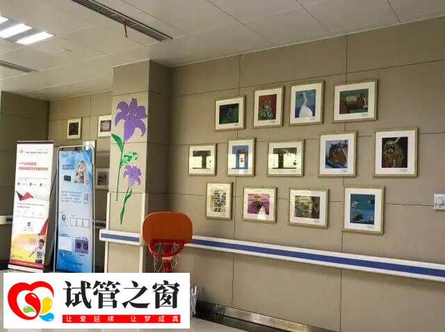 解放軍第906醫(yī)院試管成功率40%-56%