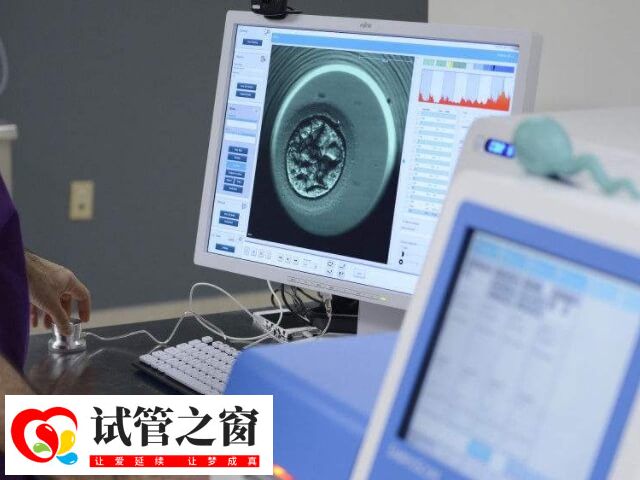 試管嬰兒成功率因人而異