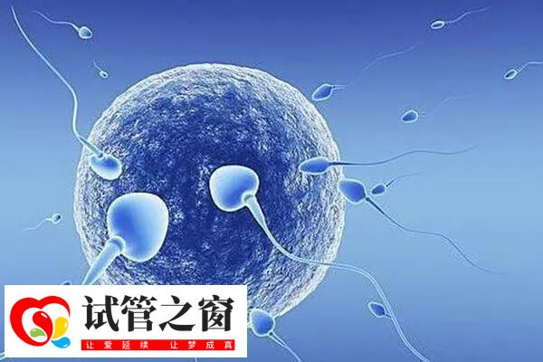 排卵障礙患者能做人工授精