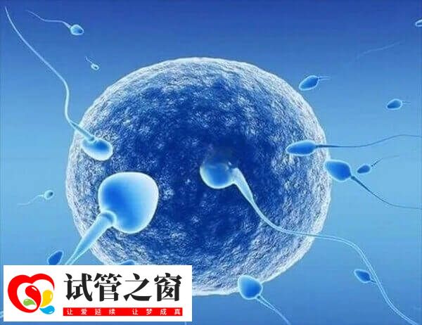 男性做人工授精有檢查的必要