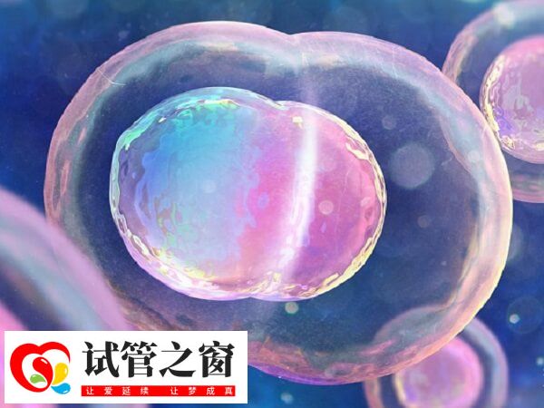 堿性體質容易生育龍鳳胎