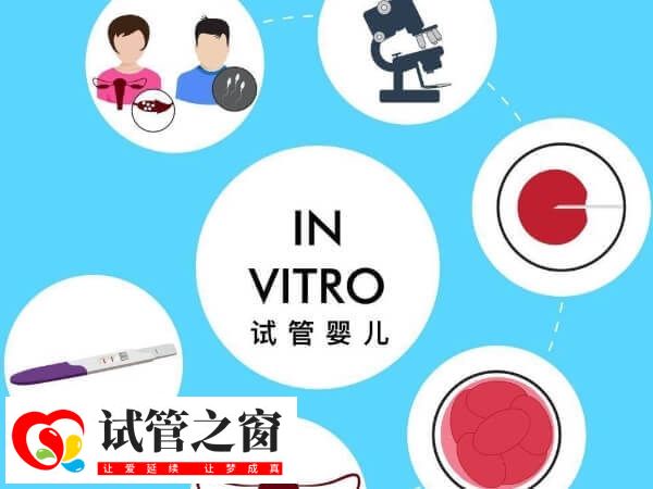 烏克蘭做試管嬰兒