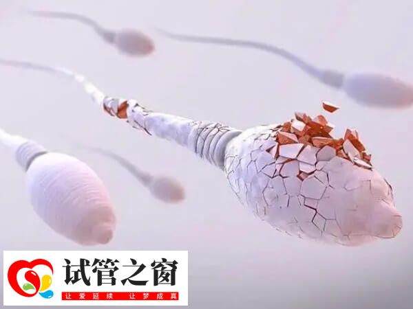 紅斑狼瘡病情穩定可以做試管嬰兒