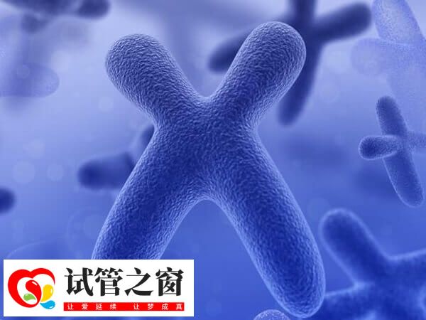 三代試管可選擇正常染色體的胚胎移植