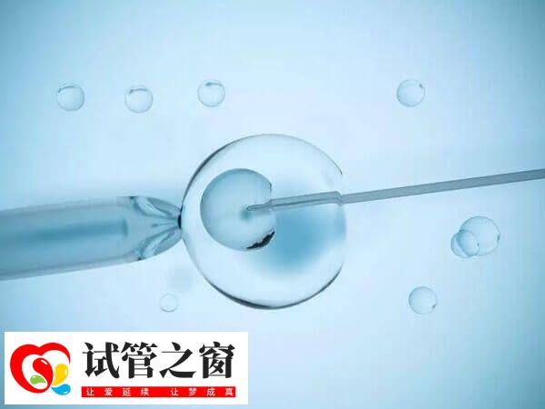 5aa囊胚并不能決定生男生女