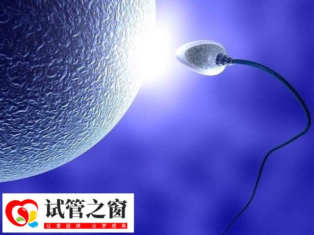 單身女性可去海外國家做試管生育孩子