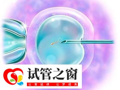 格魯吉亞能做試管嬰兒