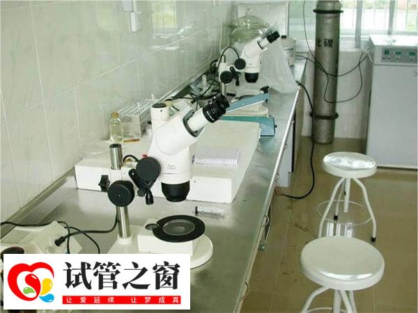 一級胚胎養(yǎng)囊失敗可能與實驗環(huán)境有關(guān)