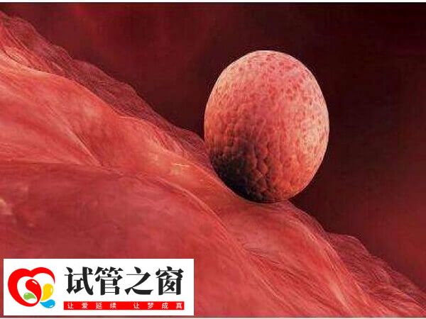 試管嬰兒鮮胚移植后最晚著床時間是5天還是7天?(圖1) 鮮胚移植最晚7天著床