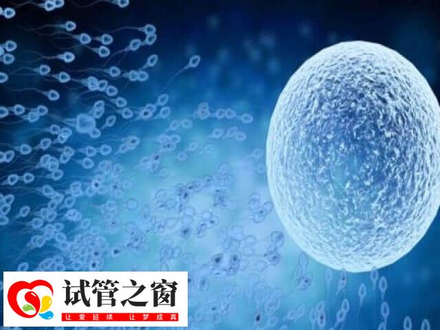 鮮胚移植前要進行身體檢查