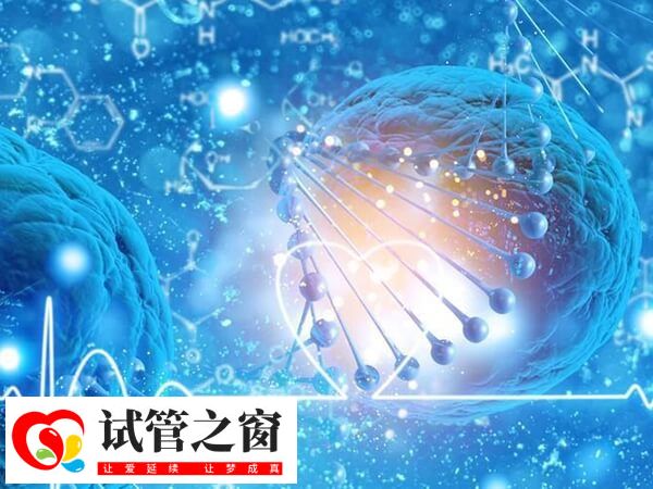 PGT技術可降低下代出現遺傳病的概率