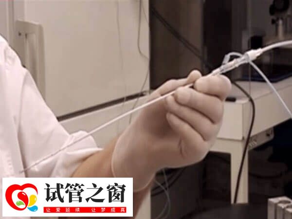 取卵針是一種醫療器械