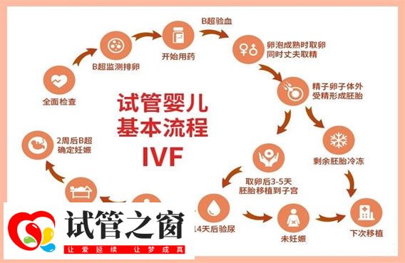 三代試管嬰兒基本流程步驟