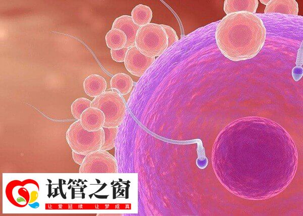 賀美奇有促排的作用