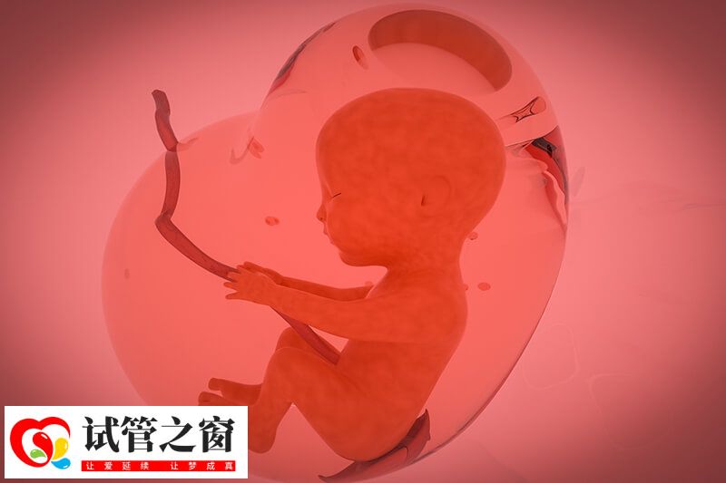 大部分男性做試管嬰兒都是手淫法取精