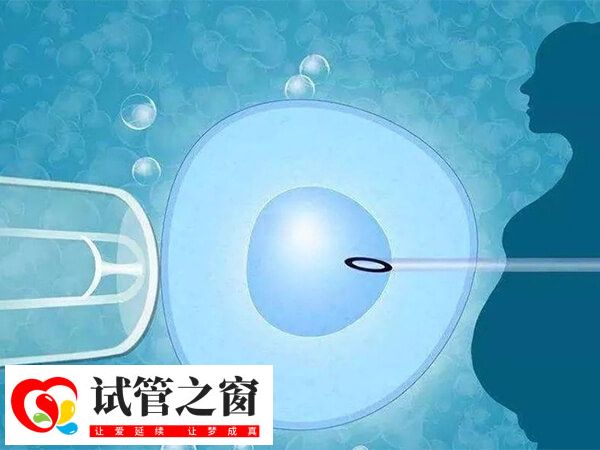 第三代試管比第一代試管更容易成功