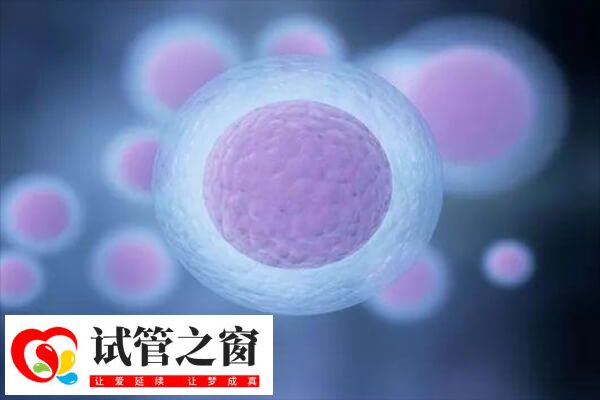 促排卵少與卵巢功能差有關