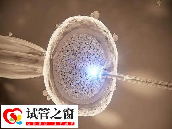 補救ICSI的主要目的是提高受精率