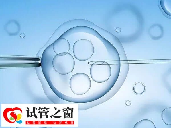 ppos促排ppos促排對女性身體損傷很小