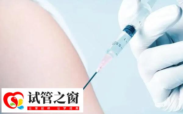 試管嬰兒移植成功后還要打3個(gè)月保胎針嗎?(圖1) 做試管嬰兒要打保胎針