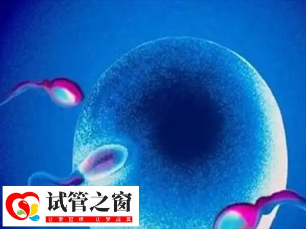 高齡女性自然受孕幾率小