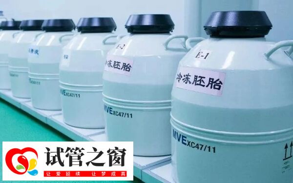 凍胚移植前要先做檢查