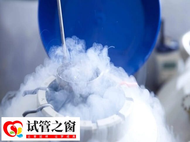 4BB凍囊胚質(zhì)量好