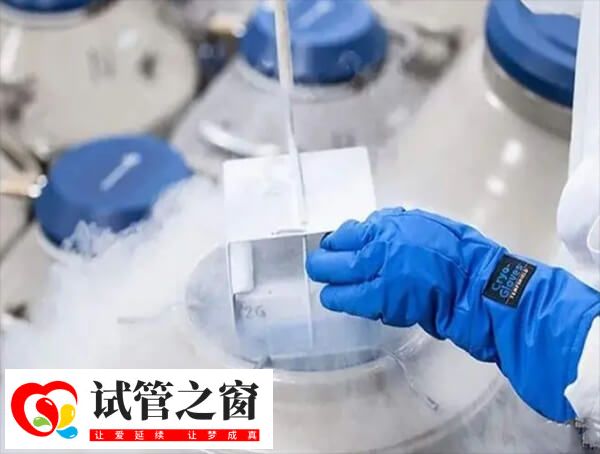 凍胚是放入零下196度的液氮中保存
