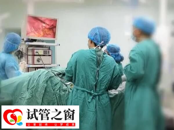 宮腹腔鏡聯(lián)合手術(shù)