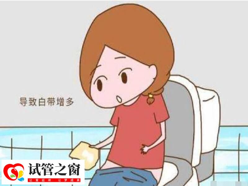 成功懷孕后白帶會(huì)增多