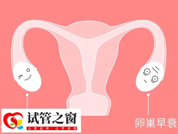 卵巢早衰患者可以做試管嬰兒