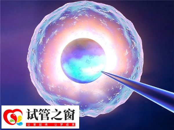 和田保證充足睡眠能穩定內分泌系統從而提升卵子質量嗎?(圖1) 卵子質量改善的關鍵在于激素水平