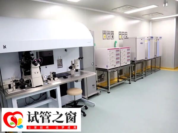胚胎評分678是較為常見的評分等級